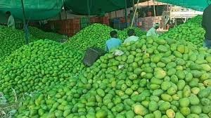 రైతులకు చేదు ఇచ్చిన మామిడి రైతులకు చేదు ఇచ్చిన మామిడి