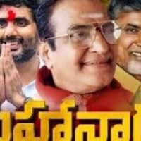 మహానాడులో అన్ని స్పెషల్సే...