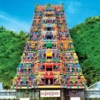 మళ్లీ సిద్ధార్ధ సంస్థలకే దేవాదాయ భూములు