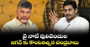 వై నాట్ పులివెందుల...