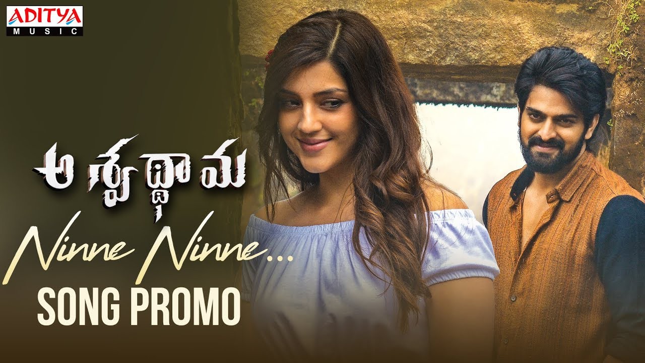అశ్వత్ధామపై నాగశౌర్య ఆశలు అశ్వత్ధామపై నాగశౌర్య ఆశలు