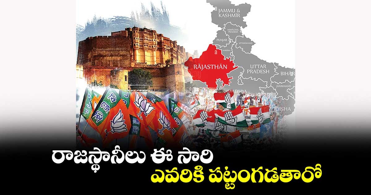 రాజస్థాన్ లో భర్తల కోసం భార్యల ప్రచారం రాజస్థాన్ లో భర్తల కోసం భార్యల ప్రచారం