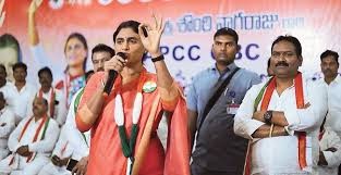 వైకాపా ఎమ్మెల్యేలు రాజీనామా చేయండి వైఎస్ షర్మిలా రెడ్డి వైకాపా ఎమ్మెల్యేలు రాజీనామా చేయండి వైఎస్ షర్మిలా రెడ్డి