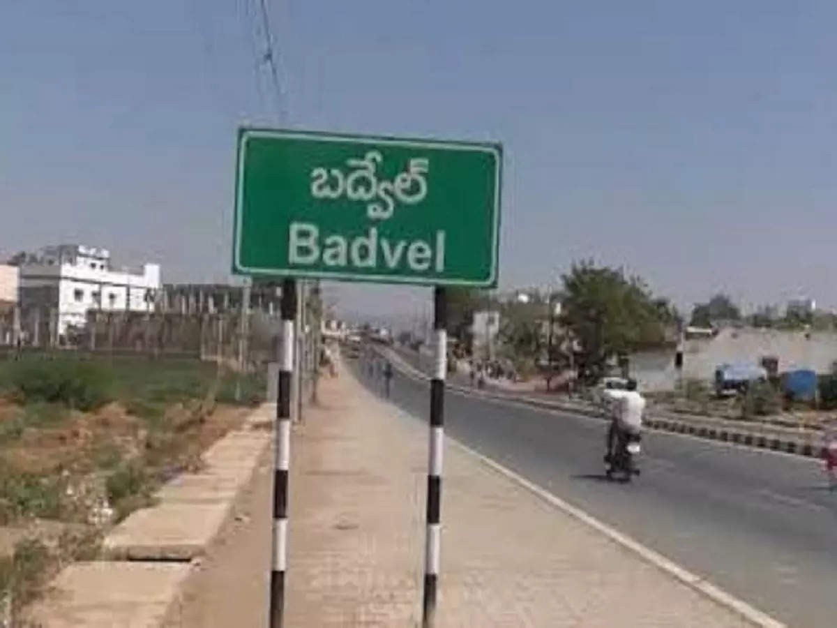 కడపలో లోకల్, నాన్ లోకల్ కడపలో లోకల్, నాన్ లోకల్