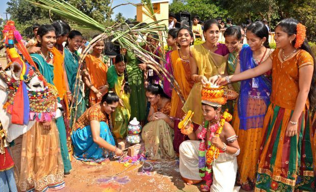 పల్లెల్లో  షురూ అయిన సంక్రాంతి