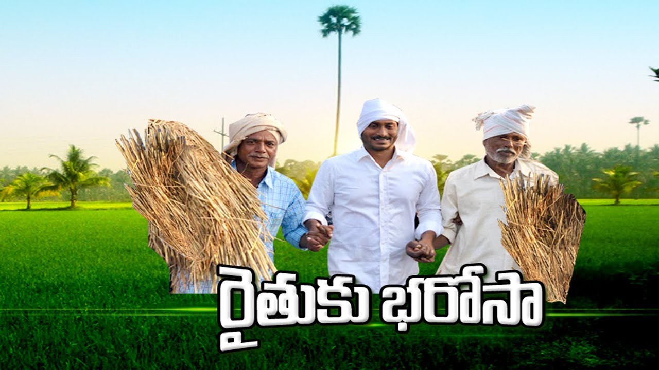 రైతుకు భరోసా... (కృష్ణాజిల్లా)