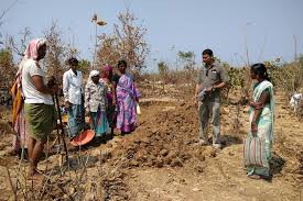 ఇక ఉపాధి హామీ పనులే ఇక ఉపాధి హామీ పనులే