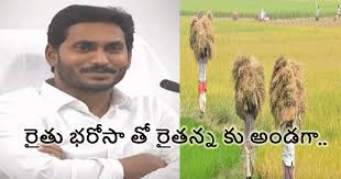 త్వరలో రైతుల ఖాతాలో రైతు భరోసా నగదు జమ త్వరలో రైతుల ఖాతాలో రైతు భరోసా నగదు జమ