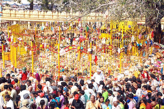 మేడారంలో నామినేషన్ పనుల జాతర మేడారంలో నామినేషన్ పనుల జాతర