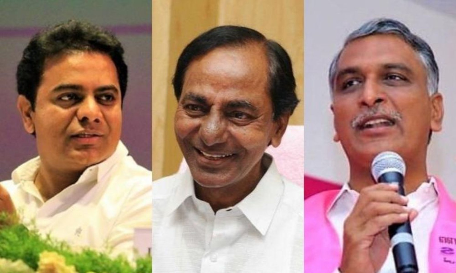 గులాబీకి చావో రేవో.... గులాబీకి చావో రేవో....