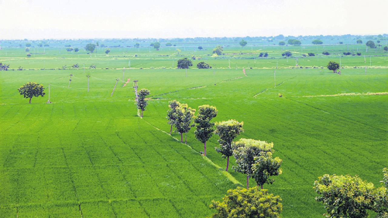 భారీగా పెరగనున్న సాగు విస్తీర్ణం.. భారీగా పెరగనున్న సాగు విస్తీర్ణం..