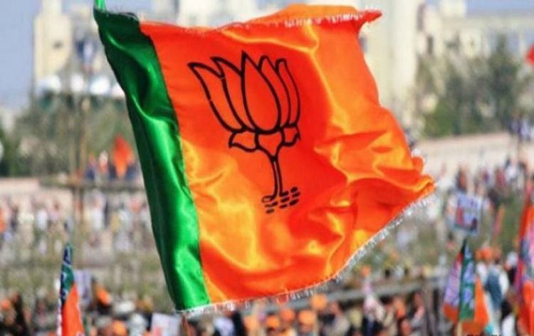 కొత్త ట్రెండ్ లో కమలం.... కొత్త ట్రెండ్ లో కమలం....