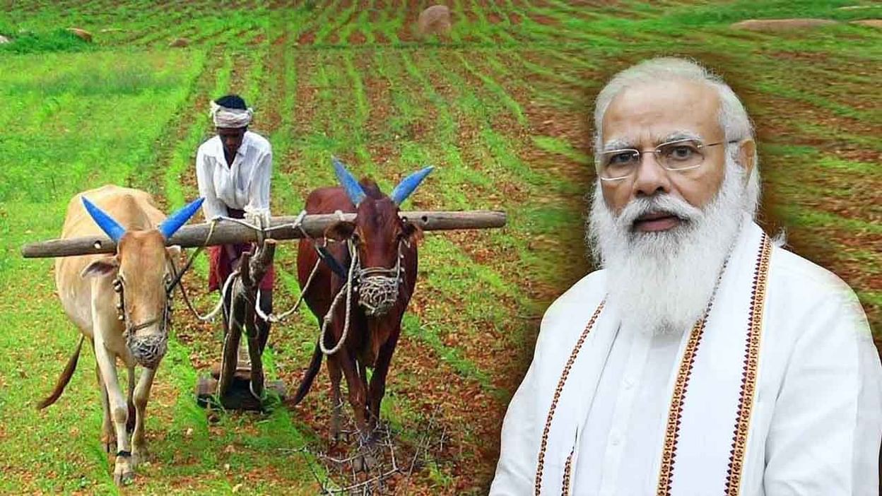 రైతులకు మోడీ మరో వరం రైతులకు మోడీ మరో వరం