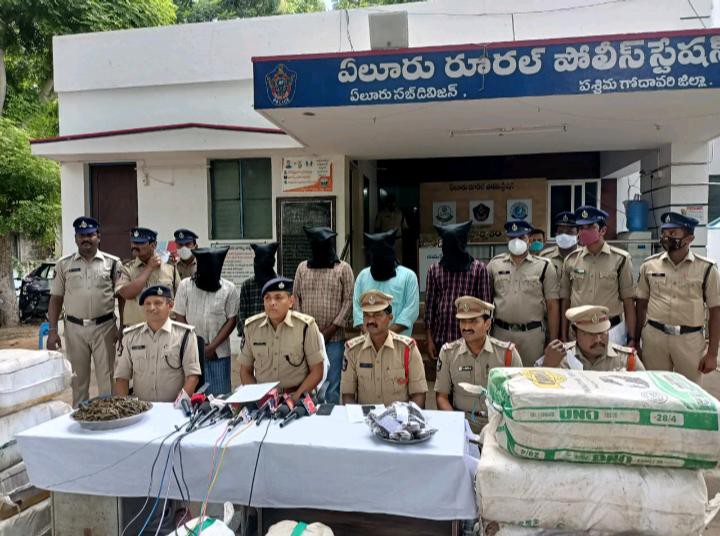 భారీగా గంజాయి పట్టివేత భారీగా గంజాయి పట్టివేత