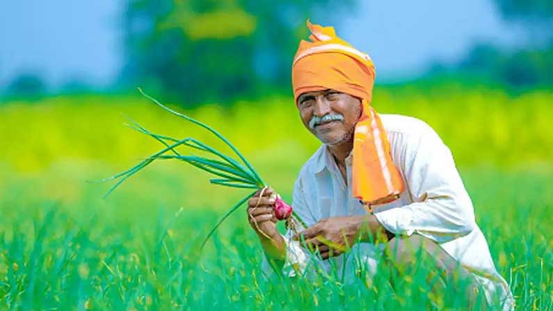 రైతులకు రెట్టింపు కానున్న సమ్మాన్ నిధి రైతులకు రెట్టింపు కానున్న సమ్మాన్ నిధి