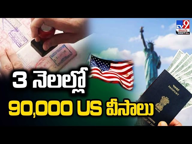 3 నెలల్లో 90 వేల వీసాలు 3 నెలల్లో 90 వేల వీసాలు