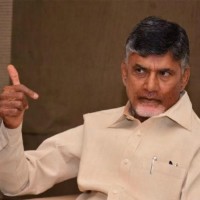 బాబు 2019 ఎన్నికల వ్యూహం ఒకే దెబ్బకు జగన్ జనసేన, బీజేపీ టార్గెట్...